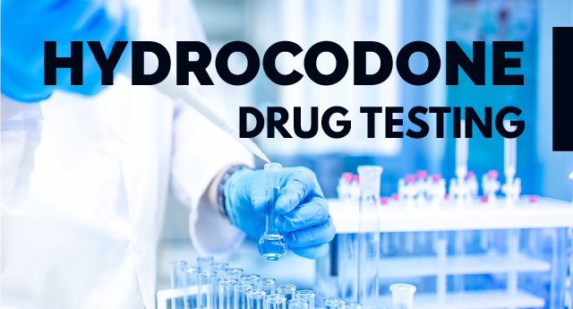 Does hydrocodone show up on drug tests?