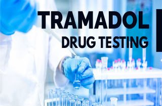 What does tramadol come up as on a drug test