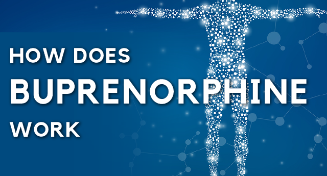 How does buprenorphine work?
