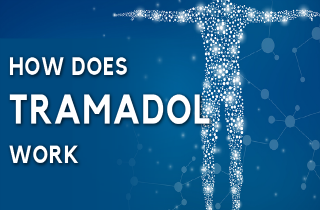 HOW DOES TRAMADOL WORK IN THE BODY
