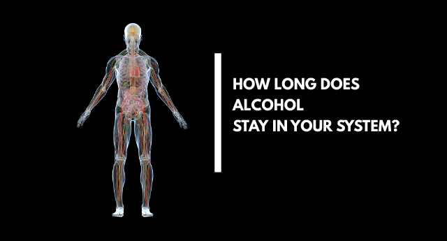 How long does alcohol last in the body?