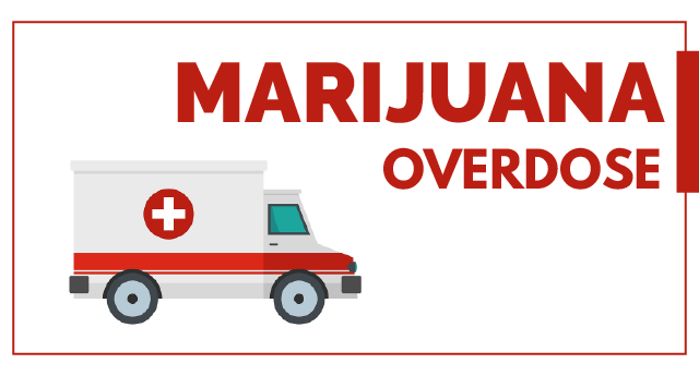 Can you overdose on marijuana?
