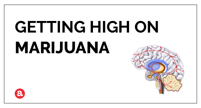 Can you get high on marijuana?