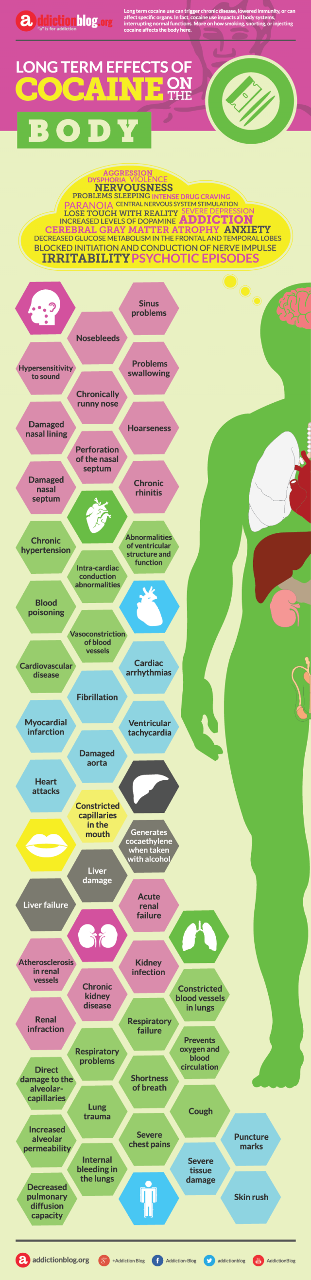 Long term effects of cocaine on the body (INFOGRAPHIC)