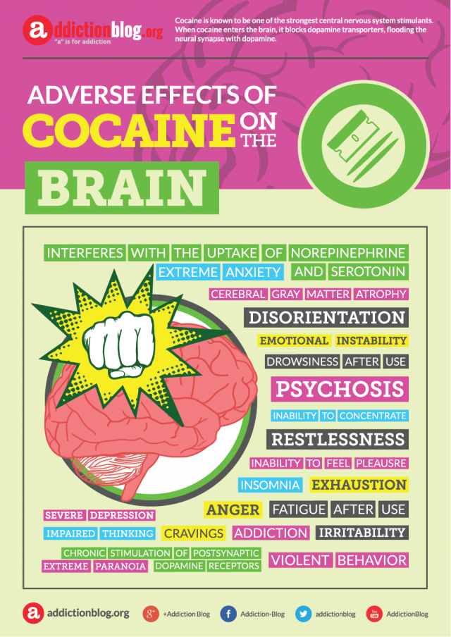 Adverse effects of cocaine on the brain (INFOGRAPHIC)