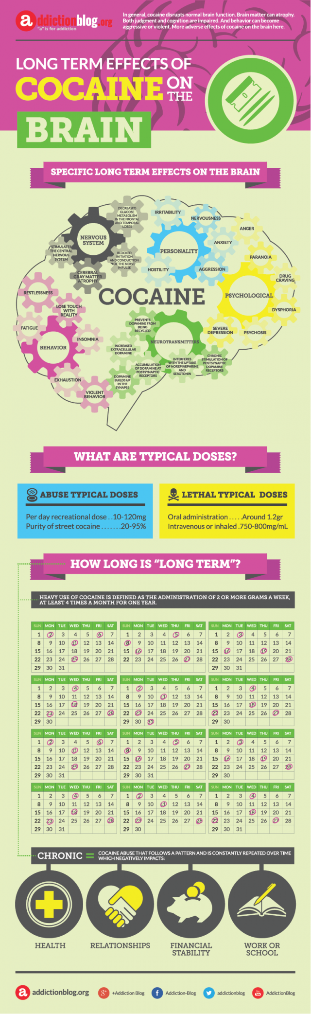 Long term effects of cocaine on the brain (INFOGRAPHIC)