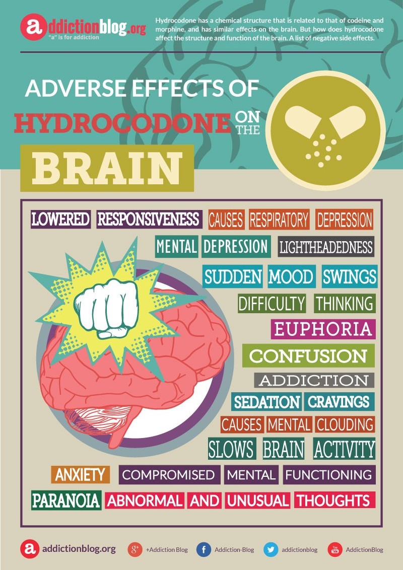 Adverse effects of hydrocodone on the brain (INFOGRAPHIC)