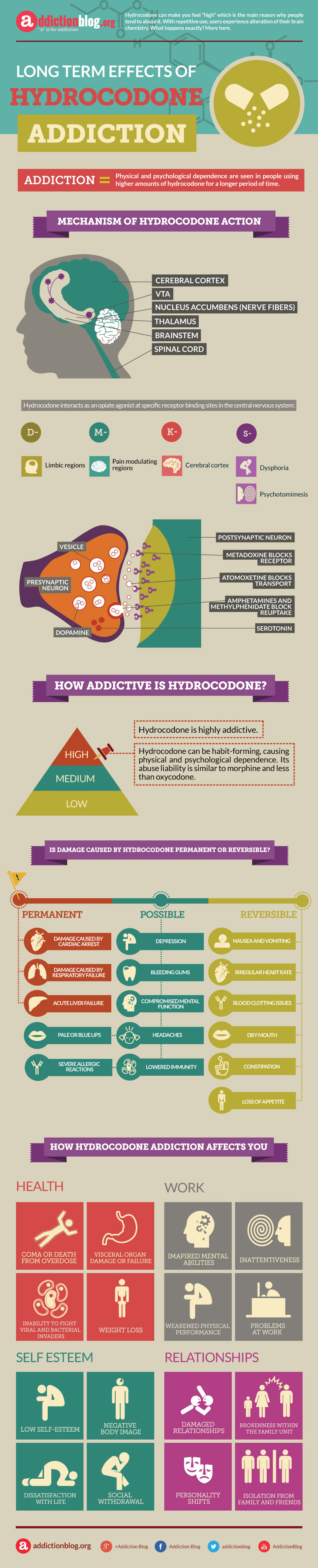 Long term effects of Hydrocodone addiction (INFOGRAPHIC)