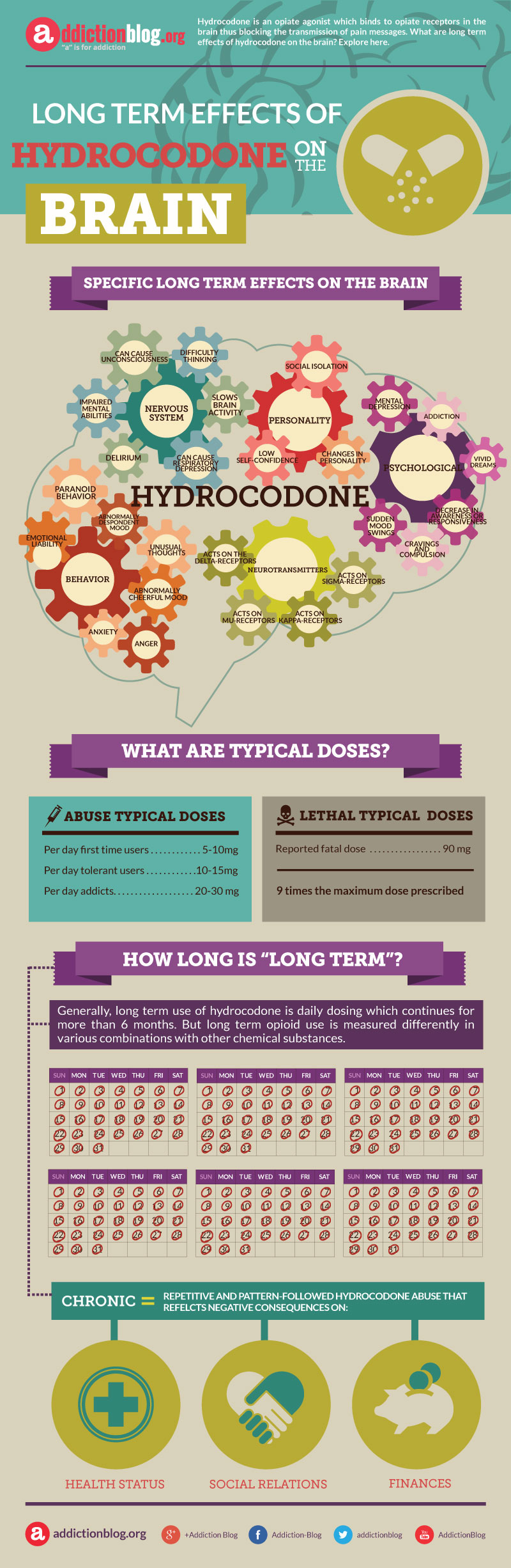 Long term effects of hydrocodone on the brain (INFOGRAPHIC)