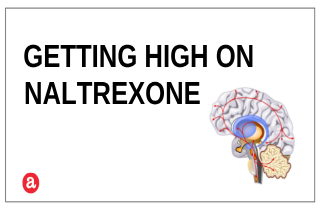 Naltrexone effects does ambien block of
