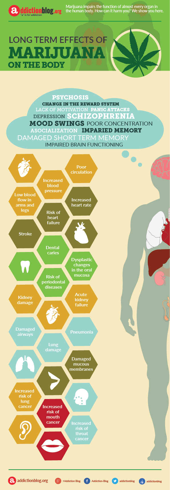 Long term effects of marijuana on your body  (INFOGRAPHIC)