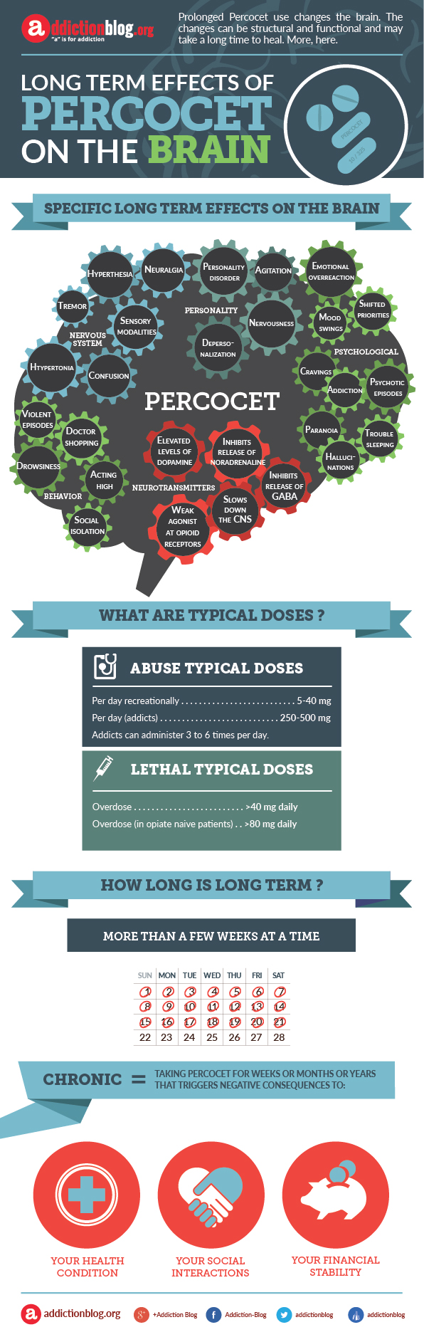 Effects on the brain from long term Percocet use (INFOGRAPHIC)