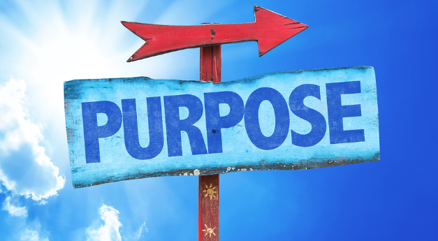 Creating your purpose in addiction recovery