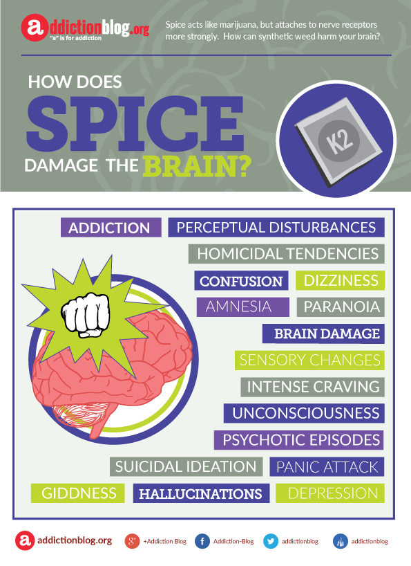 How does Spice – synthetic cannabis damage the brain (INFOGRAPHIC)