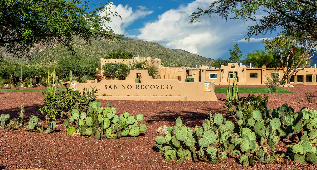 Neuroplasticity and addiction: How can integrative therapies help address past trauma? INTERVIEW with Sabino Recovery