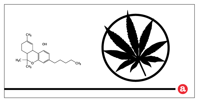 Marijuana Dependence