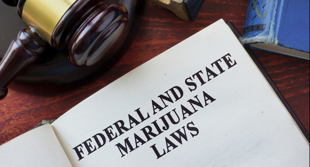 The Future of Marijuana Enforcement: How State and Federal Laws Govern Weed