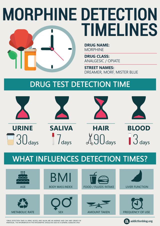 Morphine Detection Timelines [INFOGRAPHIC]