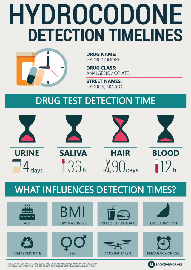 Hydrocodone Detection Timeline [INFOGRAPHIC]