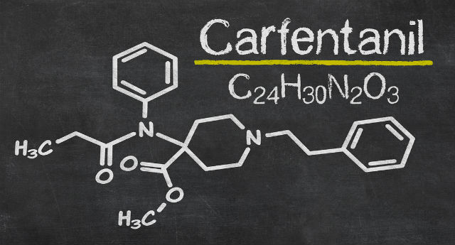 Did You Know Carfentanil Is 5000 Times Stronger Than Heroin?