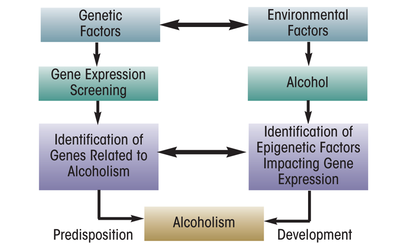 hypothesis for alcoholism
